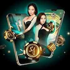 bet 6777